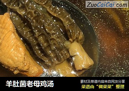 羊肚菌老母鸡汤