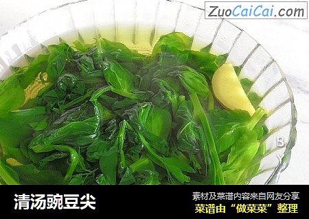 清汤豌豆尖