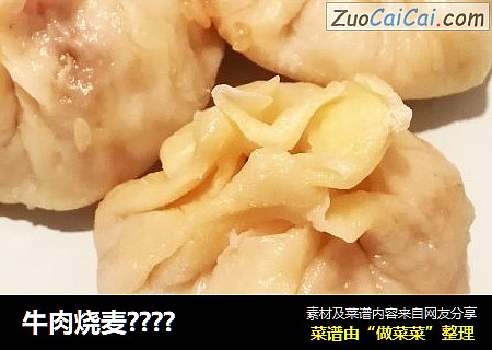 牛肉烧麦？