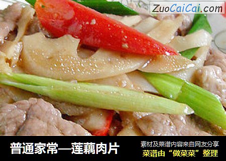 普通家常—莲藕肉片