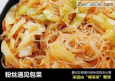 粉丝遇见包菜