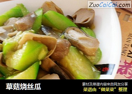 草菇烧丝瓜