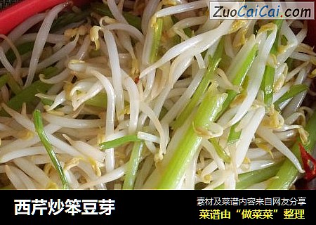 西芹炒笨豆芽
