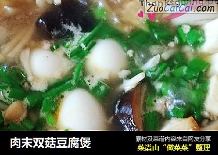 肉末双菇豆腐煲