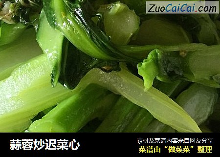 蒜蓉炒迟菜心