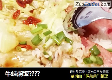 牛蛙焖饭????