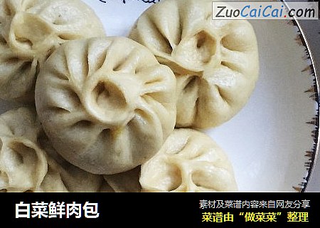 白菜鲜肉包