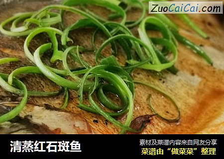清蒸红石斑鱼