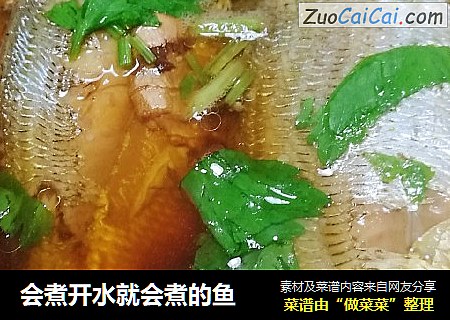 会煮开水就会煮的鱼