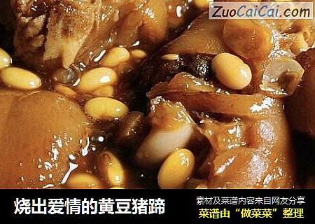 烧出爱情的黄豆猪蹄