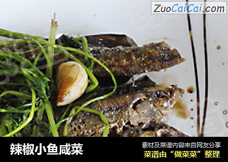 辣椒小鱼咸菜