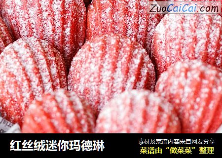 红丝绒迷你玛德琳