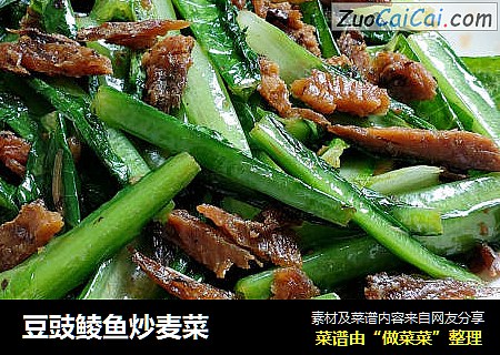豆豉鲮鱼炒麦菜