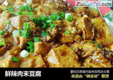 鲜辣肉末豆腐