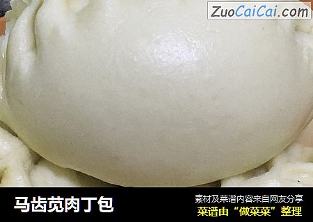 马齿苋肉丁包