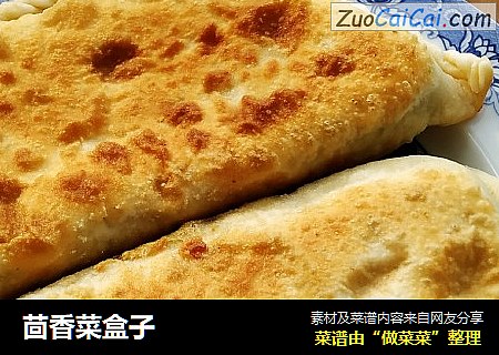 茴香菜盒子