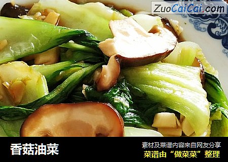 香菇油菜