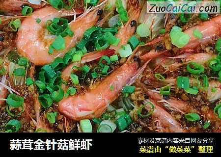 蒜茸金针菇鲜虾