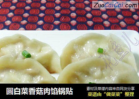 圆白菜香菇肉馅锅贴