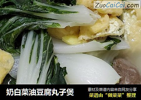 奶白菜油豆腐丸子煲