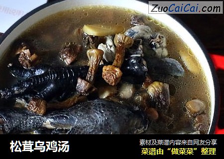 松茸乌鸡汤