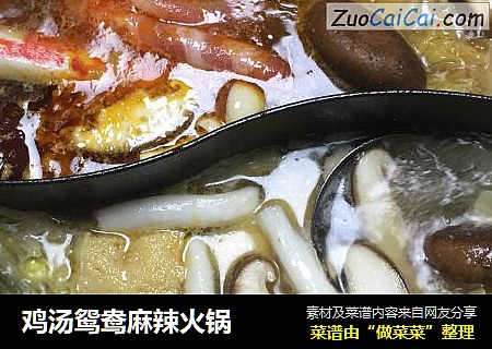 鸡汤鸳鸯麻辣火锅