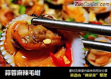 蒜蓉麻辣毛蚶