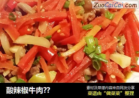 酸辣椒牛肉??