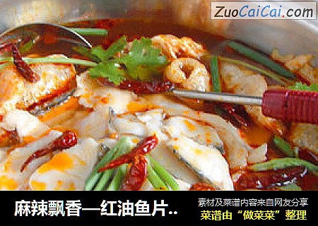 麻辣飘香—红油鱼片火锅