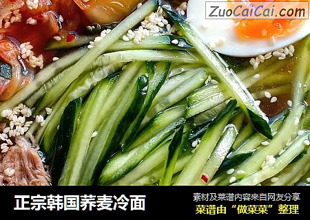 正宗韩国荞麦冷面