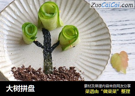 大树拼盘