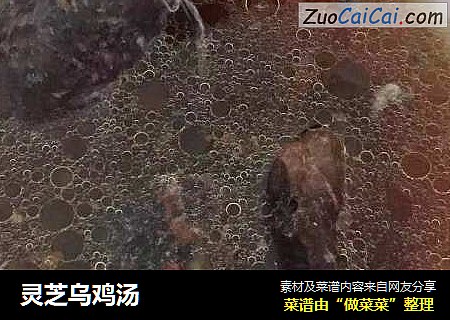 灵芝乌鸡汤