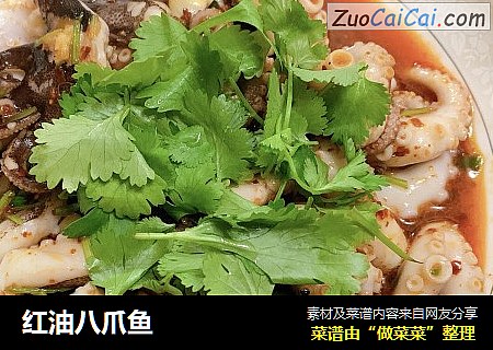 红油八爪鱼