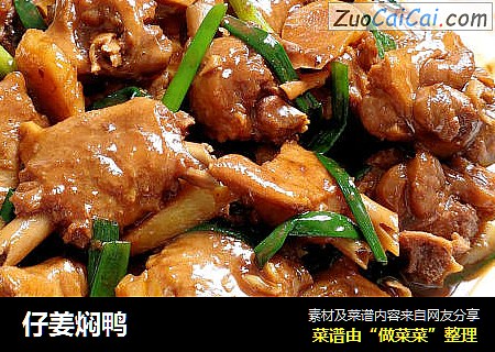 仔姜焖鸭