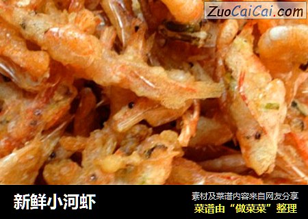新鲜小河虾