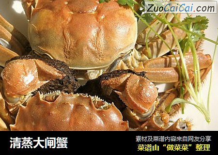 清蒸大闸蟹