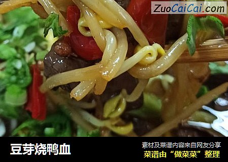 豆芽烧鸭血