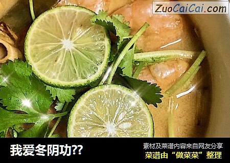 我爱冬阴功??
