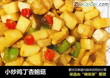 小炒鸡丁杏鲍菇