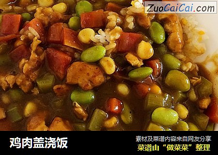 鸡肉盖浇饭