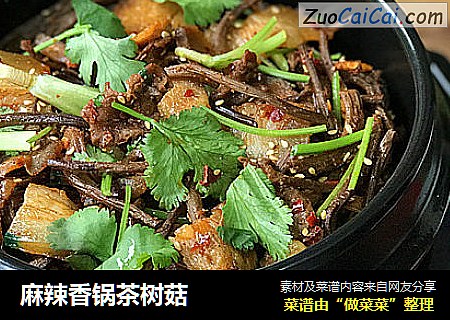 麻辣香锅茶树菇