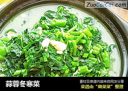 蒜蓉冬寒菜