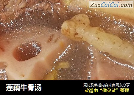 莲藕牛骨汤