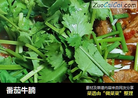 番茄牛腩