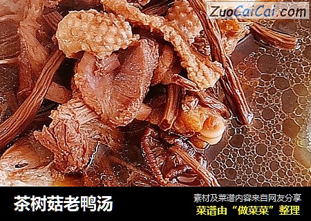 茶树菇老鸭汤
