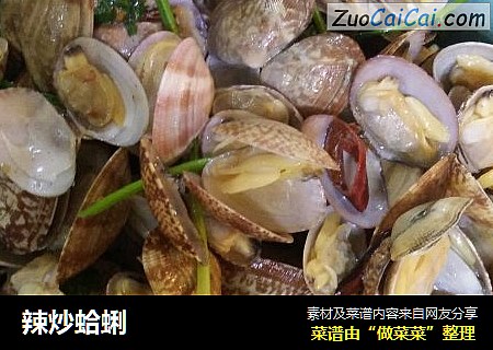 辣炒蛤蜊