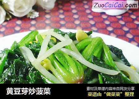黄豆芽炒菠菜
