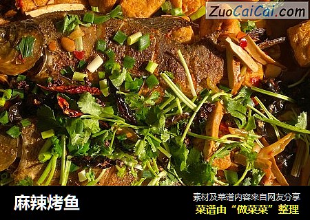 麻辣烤鱼