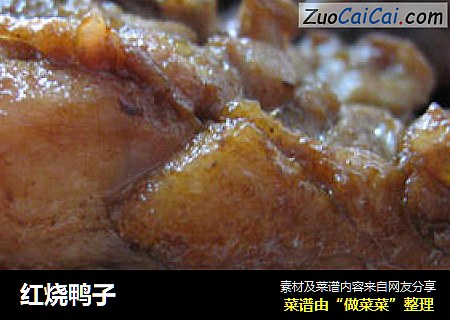 红烧鸭子