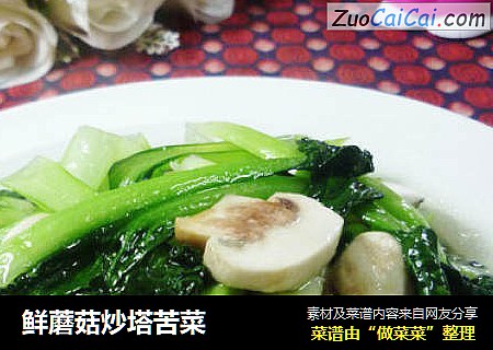 鲜蘑菇炒塔苦菜